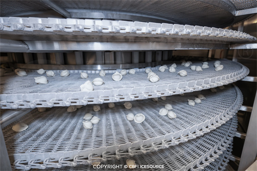 Caso práctico: Línea de producción de dumplings ultracongelados de 1 tonelada por hora en Orsk, Rusia.