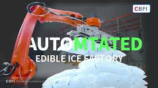 Robot inteligente de paletización para plantas de hielo | Apilado de bolsas de hielo más rápido, seguro y eficiente