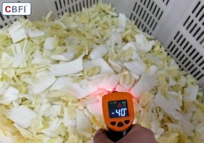 Congelador rápido de verduras: ¿por qué no puede alcanzar los -30°C?