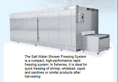 What is a Brine Freezer?