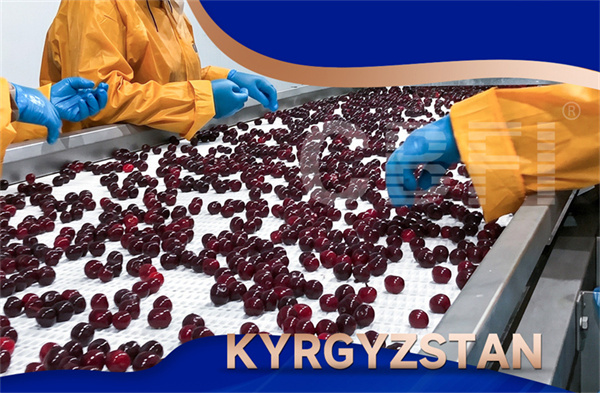 CBFI participa en la Exposición de Cadena de Frío de Xinjiang, explorando nuevas oportunidades de cadena de frío bajo la Iniciativa de la Franja y la Ruta